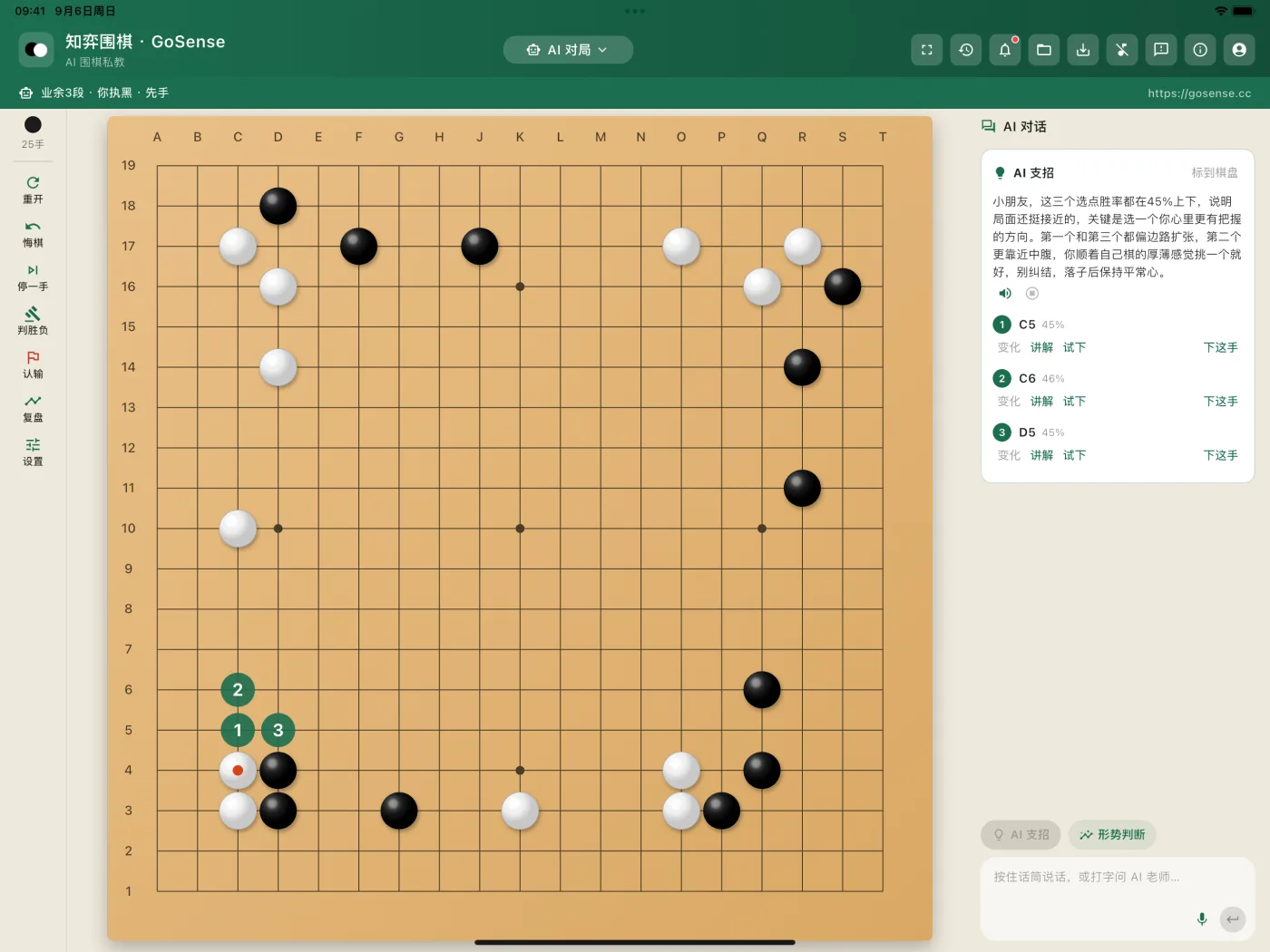 iPad 对局：AI 支招在右栏给出三个候选点