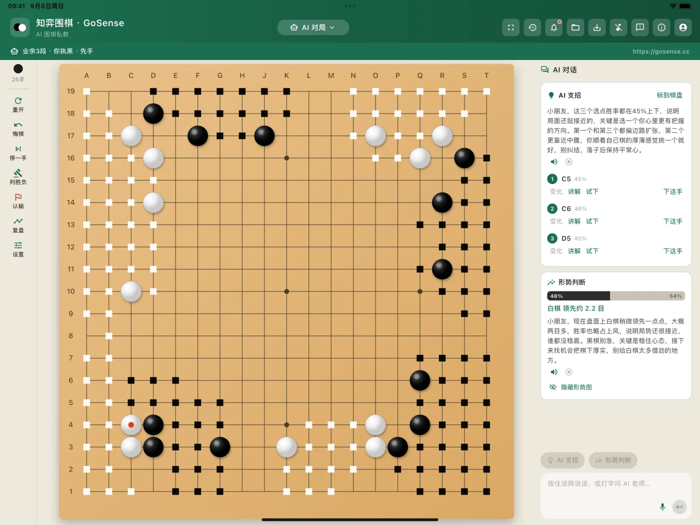 iPad 形势判断：全盘形势图与胜率条