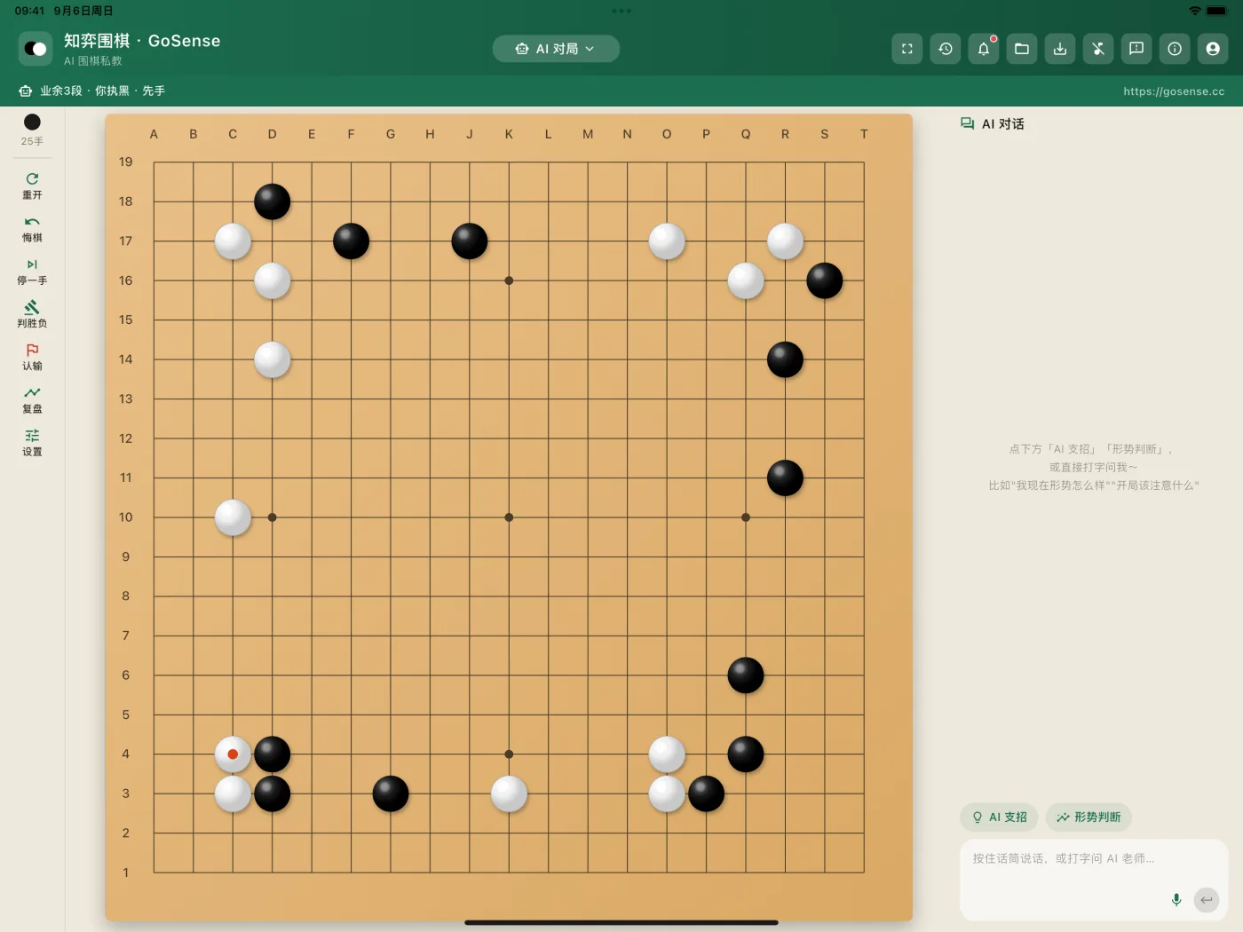 iPad 对局界面：语音提问入口